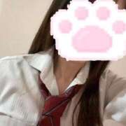 ヒメ日記 2025/11/15 07:24 投稿 かな みつらん鉄道