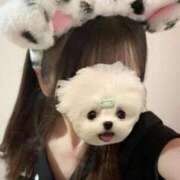 ヒメ日記 2025/11/27 07:04 投稿 かな みつらん鉄道