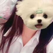 ヒメ日記 2025/11/28 08:54 投稿 かな みつらん鉄道