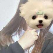 ヒメ日記 2025/12/02 15:04 投稿 かな みつらん鉄道