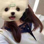 ヒメ日記 2025/12/05 09:54 投稿 かな みつらん鉄道