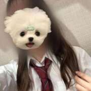 ヒメ日記 2025/12/07 22:24 投稿 かな みつらん鉄道