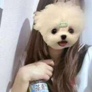 ヒメ日記 2025/12/19 12:55 投稿 かな みつらん鉄道