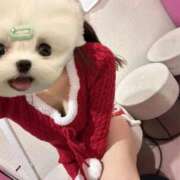 ヒメ日記 2025/12/26 10:14 投稿 かな みつらん鉄道