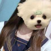 ヒメ日記 2025/12/29 07:13 投稿 かな みつらん鉄道