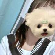 かな ポニーテール みつらん鉄道