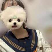 ヒメ日記 2026/01/12 13:34 投稿 かな みつらん鉄道