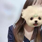 ヒメ日記 2026/01/16 11:04 投稿 かな みつらん鉄道