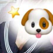 ヒメ日記 2026/01/22 06:26 投稿 かな みつらん鉄道