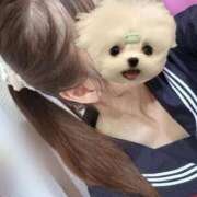 ヒメ日記 2026/01/22 13:04 投稿 かな みつらん鉄道