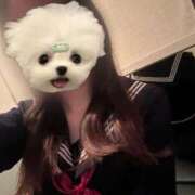 ヒメ日記 2026/02/10 07:14 投稿 かな みつらん鉄道