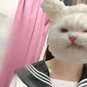 ヒメ日記 2026/02/15 08:15 投稿 かな みつらん鉄道