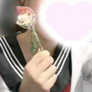 ヒメ日記 2026/02/19 12:24 投稿 かな みつらん鉄道