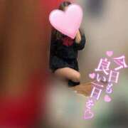 ヒメ日記 2026/02/21 07:24 投稿 かな みつらん鉄道