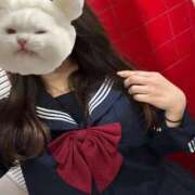 ヒメ日記 2026/02/21 08:18 投稿 かな みつらん鉄道