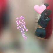 ヒメ日記 2026/02/25 08:01 投稿 かな みつらん鉄道