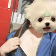 ヒメ日記 2026/02/25 12:15 投稿 かな みつらん鉄道