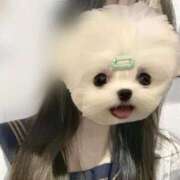 ヒメ日記 2026/02/27 08:31 投稿 かな みつらん鉄道