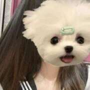 ヒメ日記 2026/03/16 17:14 投稿 かな みつらん鉄道