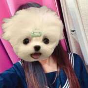 ヒメ日記 2026/03/20 08:03 投稿 かな みつらん鉄道