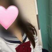 ヒメ日記 2026/03/26 12:24 投稿 かな みつらん鉄道