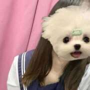 ヒメ日記 2026/04/01 07:14 投稿 かな みつらん鉄道