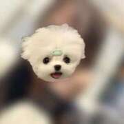 ヒメ日記 2026/04/20 13:54 投稿 かな みつらん鉄道