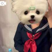 ヒメ日記 2026/05/12 06:34 投稿 かな みつらん鉄道