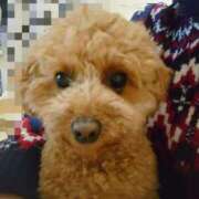 ヒメ日記 2024/12/07 11:31 投稿 せいこ 熟女の風俗最終章 西川口店