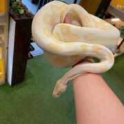 ヒメ日記 2025/09/10 22:08 投稿 りお 京都回春性感マッサージ倶楽部