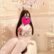 ヒメ日記 2025/01/06 12:23 投稿 佐藤 明奈 AZITO V.I.P