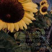 ヒメ日記 2025/08/16 11:14 投稿 優香（ゆうか） 女々艶 大和店