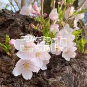 ヒメ日記 2026/04/03 12:58 投稿 優香（ゆうか） 女々艶 大和店