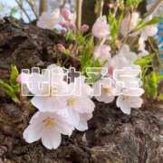 ヒメ日記 2026/04/08 10:41 投稿 優香（ゆうか） 女々艶 大和店