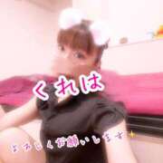 ヒメ日記 2025/04/11 16:46 投稿 くれは エピセレクション