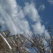 ヒメ日記 2025/04/13 06:51 投稿 くれは エピセレクション