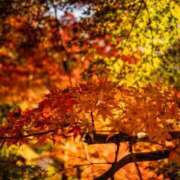 ヒメ日記 2025/09/20 08:10 投稿 くれは エピセレクション