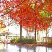 ヒメ日記 2025/09/28 07:49 投稿 くれは エピセレクション