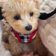 ヒメ日記 2025/11/09 07:47 投稿 くれは エピセレクション