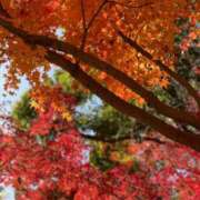 ヒメ日記 2026/01/04 21:59 投稿 くれは エピセレクション