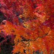 くれは おはようございます☀️ エピセレクション