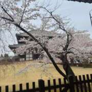 ヒメ日記 2026/04/05 05:52 投稿 くれは エピセレクション