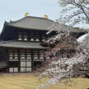 ヒメ日記 2026/04/05 05:57 投稿 くれは エピセレクション