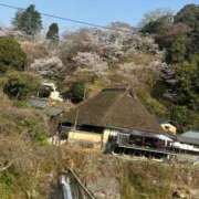 ヒメ日記 2026/04/05 06:23 投稿 くれは エピセレクション