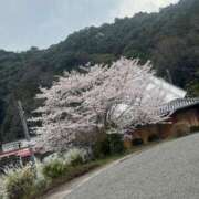 ヒメ日記 2026/04/05 22:29 投稿 くれは エピセレクション