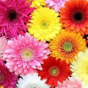 ヒメ日記 2026/04/18 16:16 投稿 くれは エピセレクション