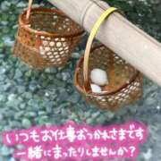 ヒメ日記 2026/09/04 18:19 投稿 くみ 西船巨乳ぽっちゃり　乳神さま