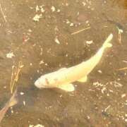 ヒメ日記 2025/03/01 20:37 投稿 ゆな 大和人妻城