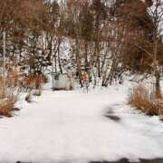 ヒメ日記 2025/03/12 00:18 投稿 ゆな 大和人妻城