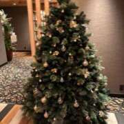 ヒメ日記 2025/12/10 17:20 投稿 ゆな 大和人妻城